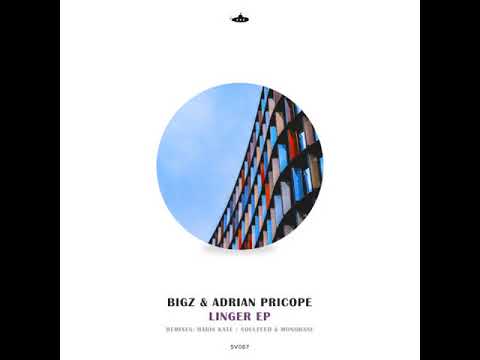 Premiere: Big Al, BiGz, and Adrian Pricope - Linger (Soulfeed & Monobase Remix) [Submarine Vibes]