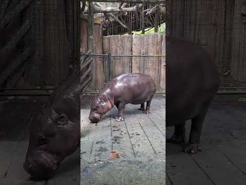 dec 27, 2023 03:19PM