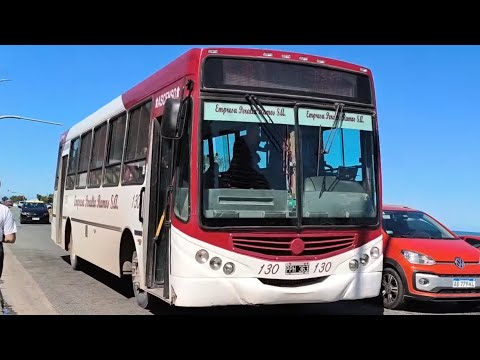 Compilado de Bondis 2 Mar del Plata!!