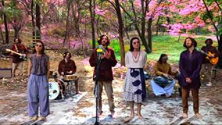 Here, There and Everywhere - Beatles Cover feat Handpans!