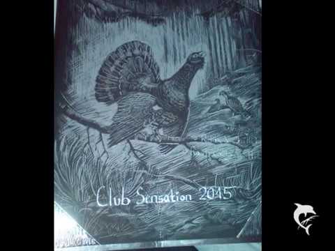 Club Sensation 2015 - Best DJ-Mix