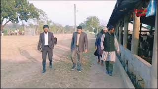 হারাদীঘি ডেইরী ফার্ম