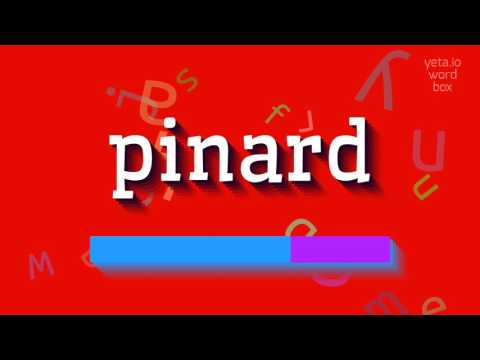 How to say "pinard"! (High Quality Voices)