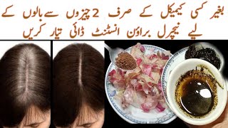 Homemade Natural Brown Instant Hair Dye Just 2 Ingredients| Sirf 2 Chizon se Natural Brown Hair Dye