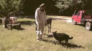 The Brokeoffs - Love Me Or Hate Me (Lady Sovereign cover) Explicit