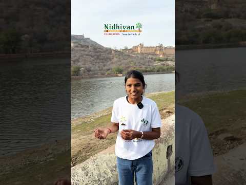 हर अनुभव कुछ सिखाता है। सफलता विचार से शुरू होता है। #earth #lakes #environment #funny