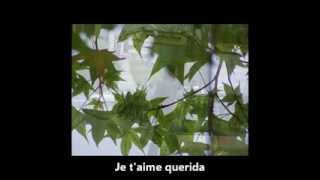Marillion - Montreal (Traducción al español)