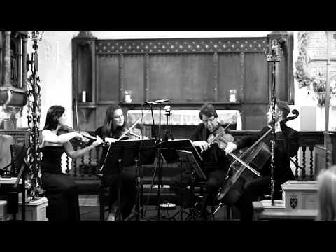 Complete Haydn Quartet in D Major Op. 20 No. 4, Badke Quartet