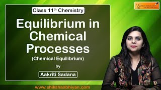 Equilibrium in Chemical Processes | Chemical Equilibrium | CBSE Class 11 Chemistry