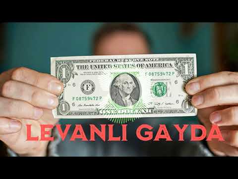 LEVANLI GAYDA 2022 ROMAN HAVASI İZMİTLİ EFEKAN