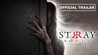 Watch and explore about Stray Souls: Cult Classic Edition Bundle PC Steam CD Key