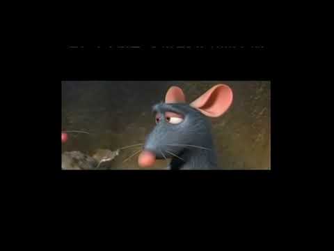 Rated G Rated PG Rated PG 13 Rated R