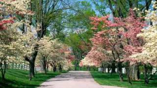 Secret Garden : Raise your Voice