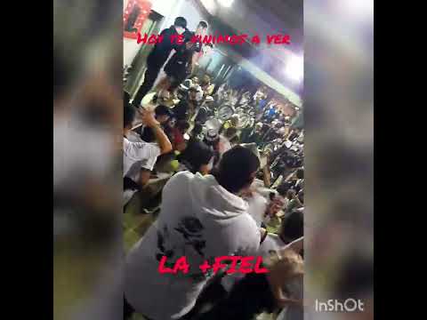 "Hoy te vinimos a ver" Barra: Los Danu Stones &bull; Club: Danubio