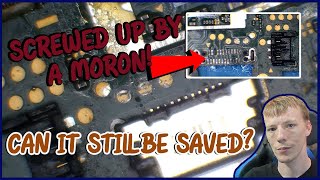 This Nintendo Switch Lite Was Destroyed By Another Tech! Can It Still Be Fixed?