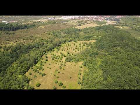 TePotAjuta.ro - Livadă Nuci Cisnădie/Sibiu