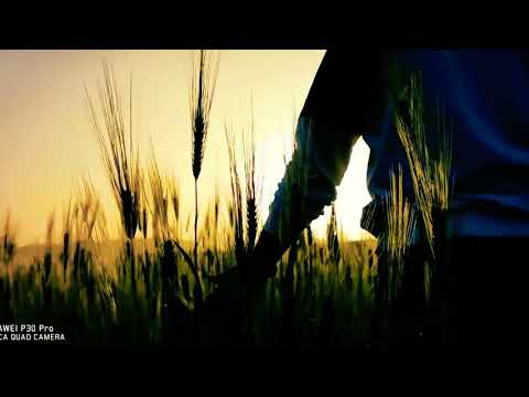 Yeşil Güzeldir ve Şimdi Özgürüz ( Now We are Fee - Lisa Gerrard) (XİAOMİ X8 SE)