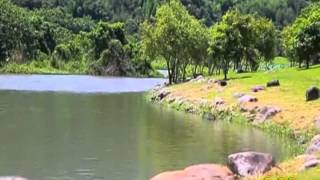 Acker Bilk.- Little Green Apples