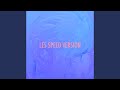 LES (Speed Version)
