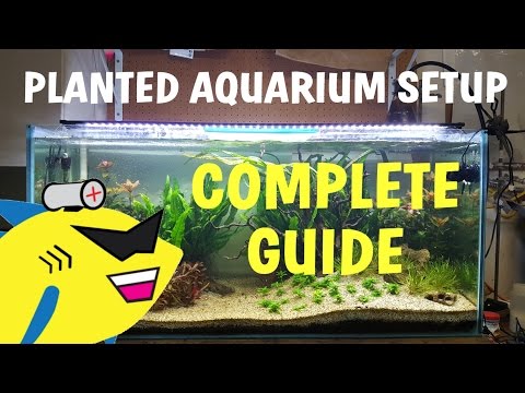 PLANTED AQUARIUM SETUP: Complete Guide To A Soil Planted Tank