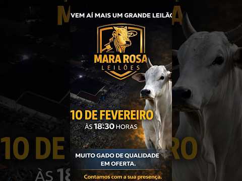 MARA ROSA LEILÕES - GOIÁS - LEILÃO DE GADO DE CORTE 10/02/2026