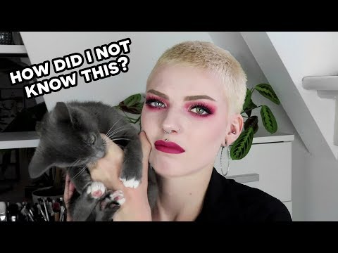 Things I Wish I Knew Before Getting a Kitten