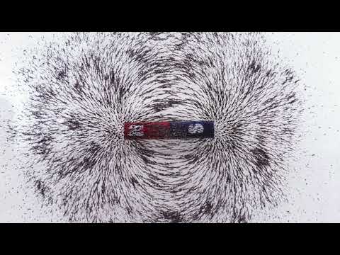 Ken Wheeler is Wrong