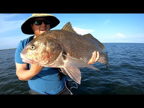 Fishing for Black Drum