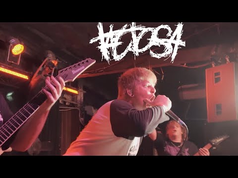TACTOSA (LIVE 4K) HOMETOWN SHOW