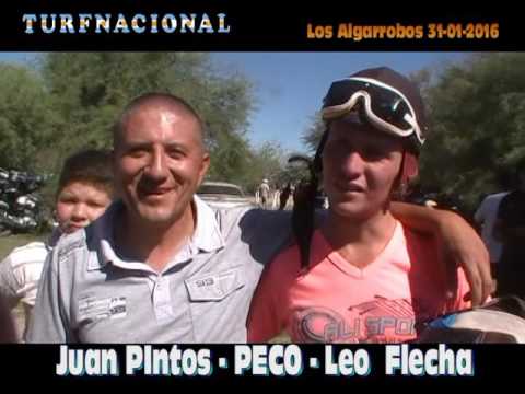 LOS ALGARROBOS 11 12 2016    CARRERA 6   NEGRO TUTA   DESCARTE   GRAN PIRU 2