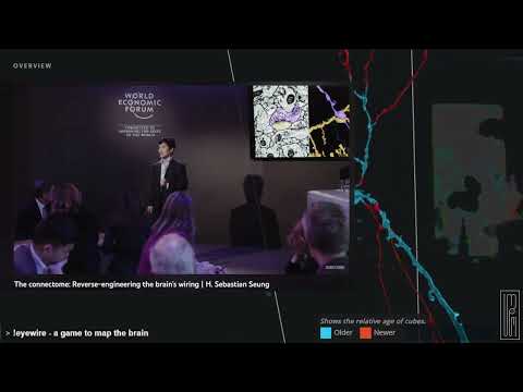 World Economic Forum - The connectome: Reverse-engineering the brain’s wiring | H. Sebastian Seung