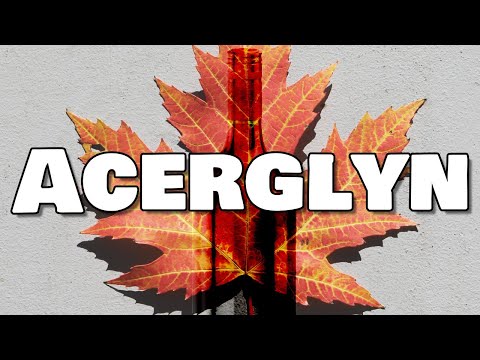 Acerglyn Maple Mead One Year Tasting!