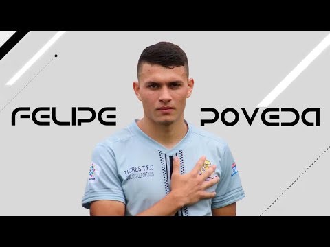 Felipe Poveda - Video Promo