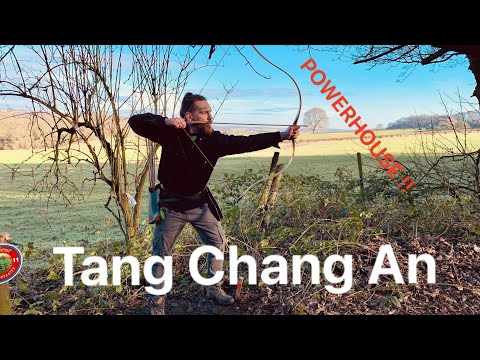 Tang Chang An from AliBow. Nice surprise. Great Intermediate bow