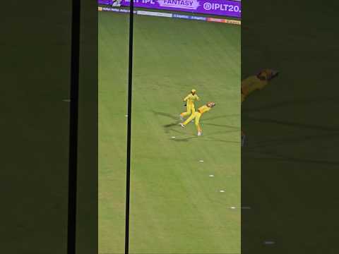 Reel tagged #cricket
