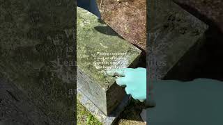Cemetery Etiquette: Do’s and Don’ts for Visitors