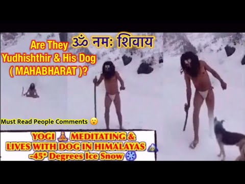 150 Years Old Babaji - Naga Sadhu Living & Meditating with Dog 🐕 in Himalayas | Mystery of Yogi 🕉