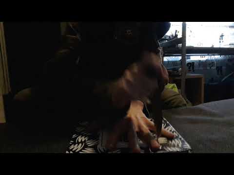 Fast knife game hardbass (Gopnik Mcblyat feat. Uamee - Monolith)