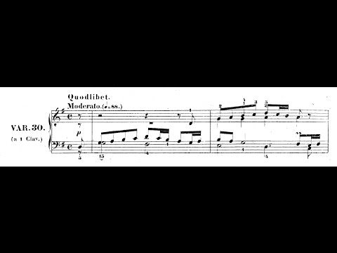 Bach, Variazioni Goldberg - Var. 30: Quodlibet (score)