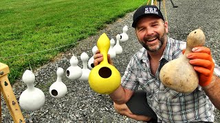 These Gourds will KEEP MOSQUITOS AWAY NATURALLY!