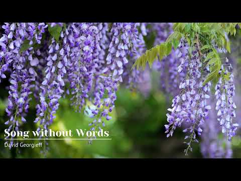 song without words / calm piano music /