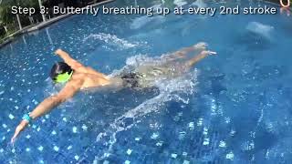 Learn to Swim Butterfly in 3 steps