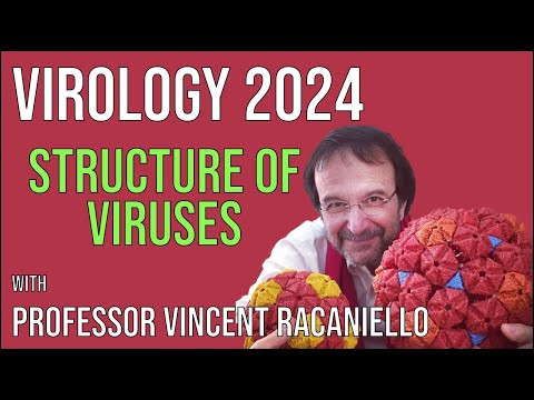 Virology Lectures 2024 #4: Structure of viruses