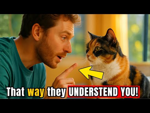 The Secret Language of Cats — How to Communicate So They Get It