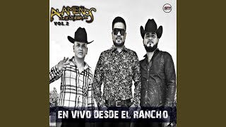 Hablando Claro (En Vivo) Lyrics English Translation