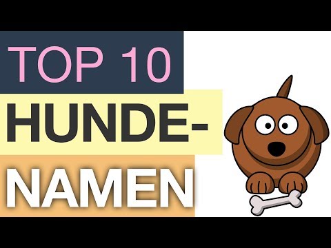 Top 10 Hundenamen