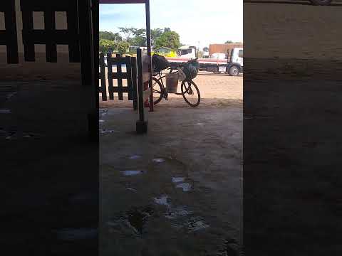 parada pra café em nova santa Helena MT