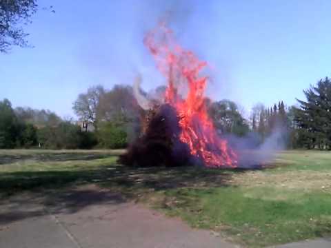 Osterfeuer 20011 in Burlage