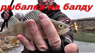 Ловля щуки на балду летом