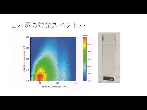 蛍光スペクトルから見る東北の日本酒